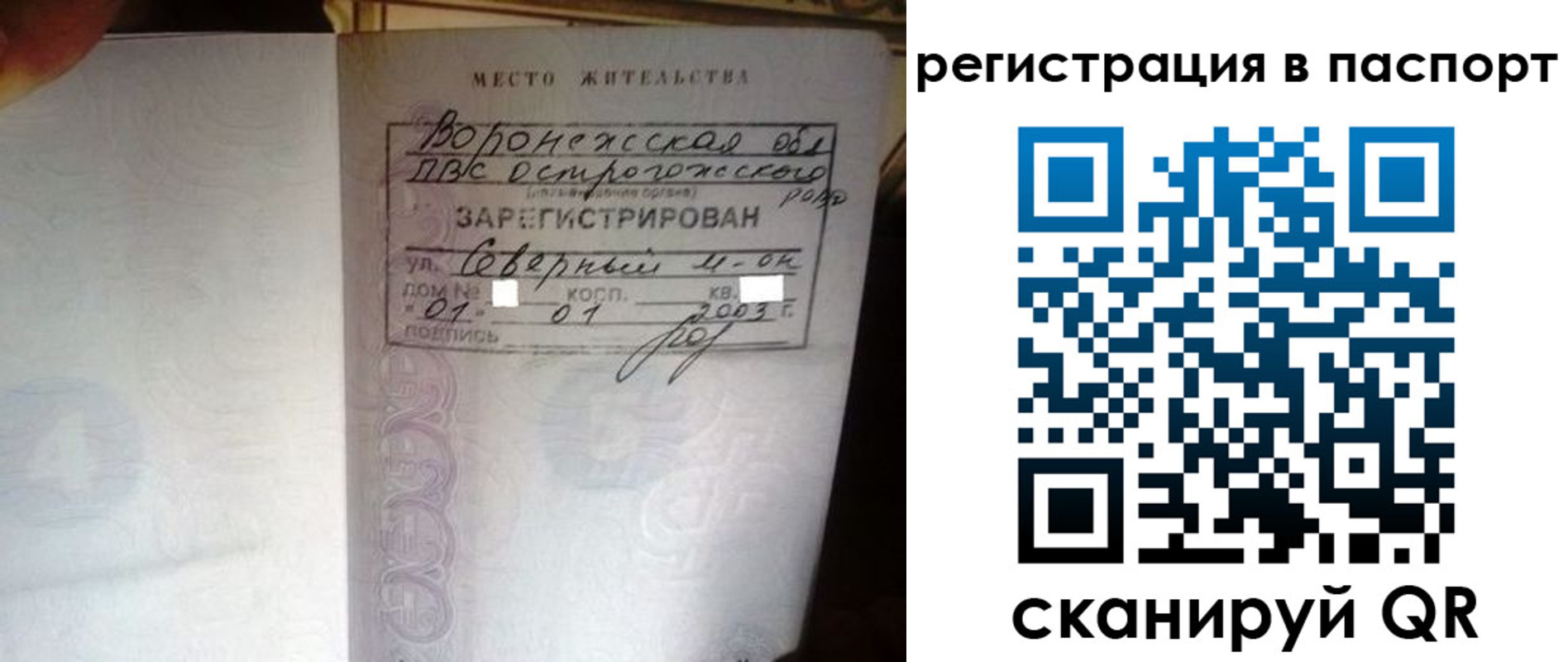 прописка для школы в Лыткарино
